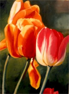 1big-tulips