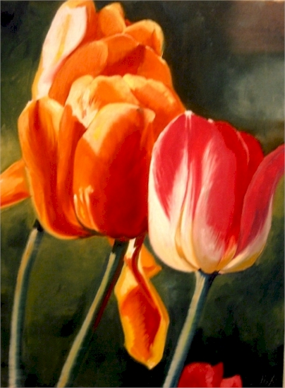 1big-tulips