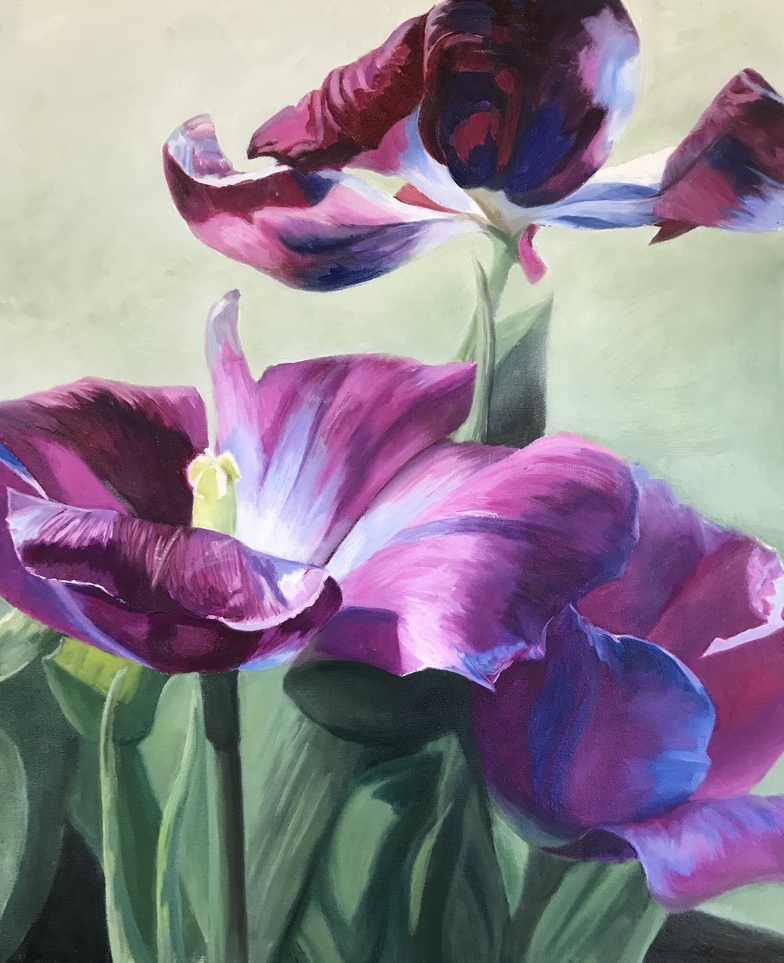Spring Tulips 20" x 24" $1200